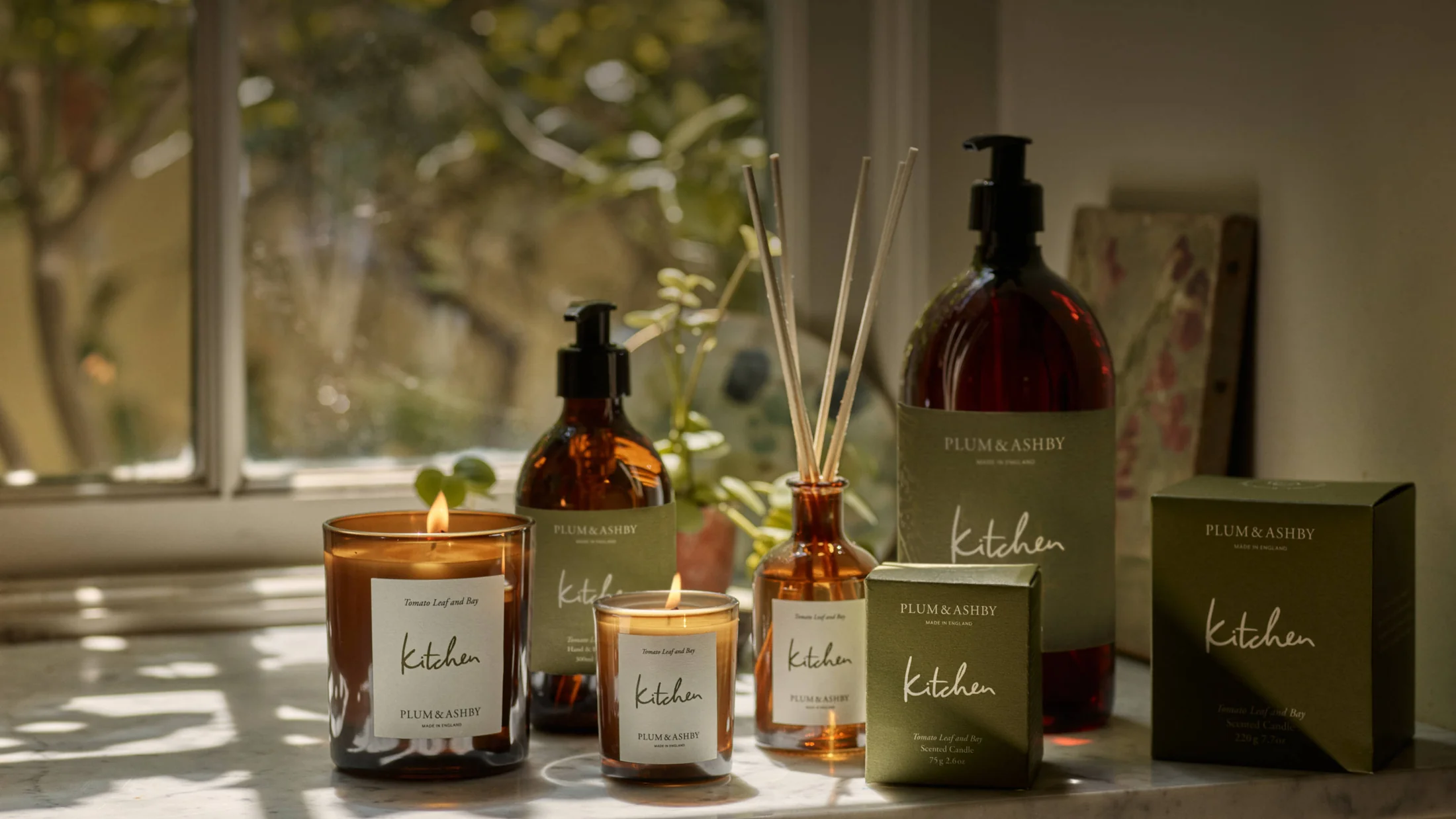 Elevate Your Senses Daily